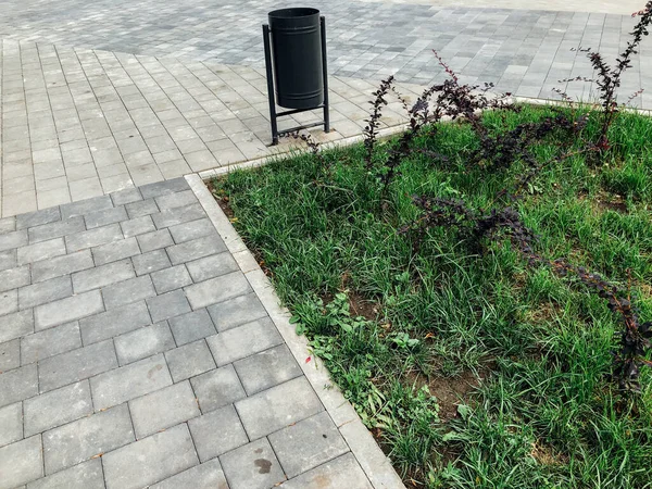 Caminho Pedra Jardim Com Plantas Verdes Calçada Tijolo Durante Dia — Fotografia de Stock