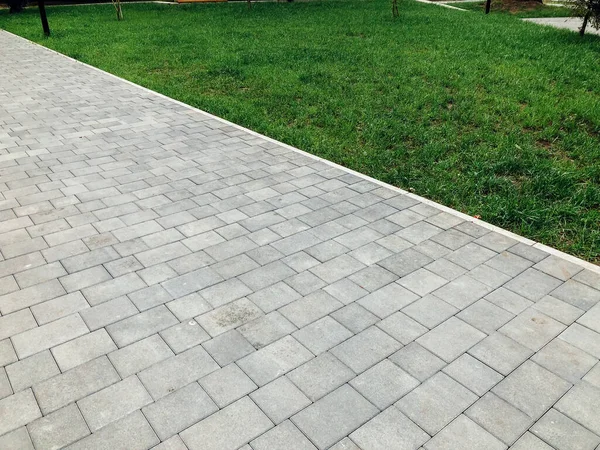 Yeşil bitkilerle dolu bahçe taşı patikası, gündüz vakti tuğla kaldırım. 