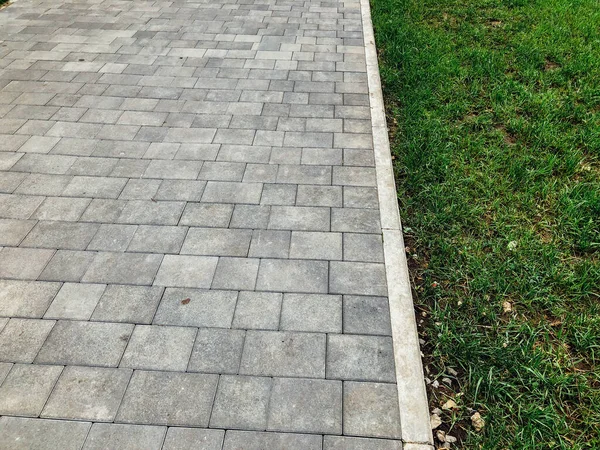 Garden Stone Path Green Plants Brick Sidewalk Daytime — Stock Photo, Image