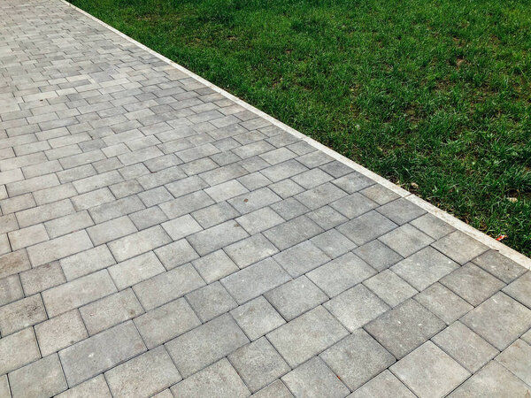 Садовая каменная дорожка с зелеными растениями, кирпичный тротуар в дневное время 