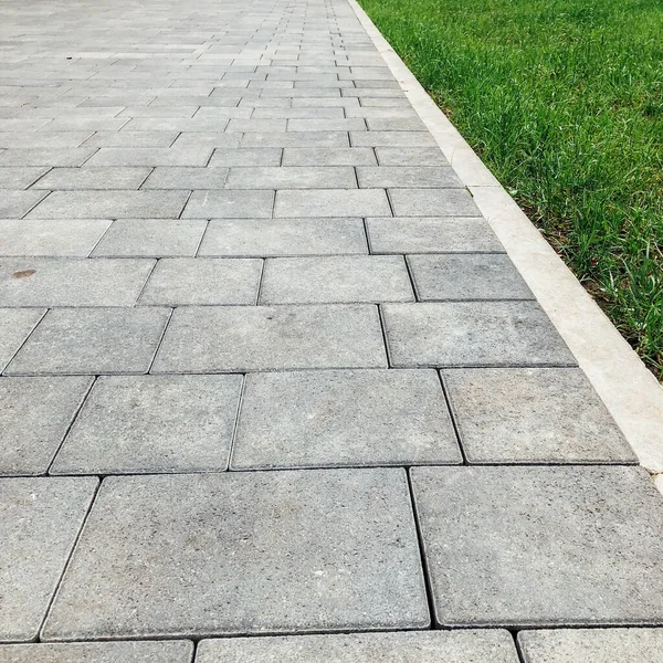 Yeşil bitkilerle dolu bahçe taşı patikası, gündüz vakti tuğla kaldırım. 