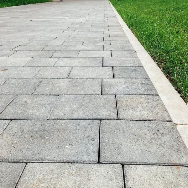 Yeşil bitkilerle dolu bahçe taşı patikası, gündüz vakti tuğla kaldırım. 