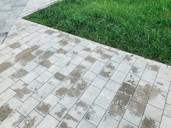 Caminho Pedra Jardim Com Plantas Verdes Calçada Tijolo Durante Dia — Fotografia de Stock