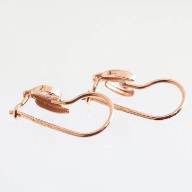 Beyaz arka planda izole edilmiş bir çift altın küpe.