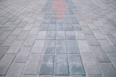 Gündüzleri şık bahçede çeşitli renklerde birbirine yakın köşeler.