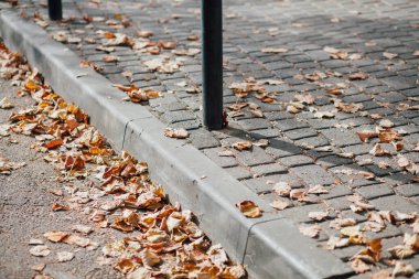 Parktaki yürüyüş yolunda demir kazıklı taşlar. 