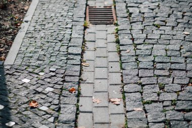 Gündüzleri şık bahçede çeşitli renklerde birbirine yakın köşeler.