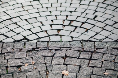 Gündüzleri şık bahçede çeşitli renklerde birbirine yakın köşeler.