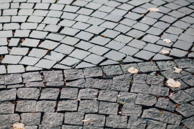 Gündüzleri şık bahçede çeşitli renklerde birbirine yakın köşeler.