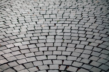 Gündüzleri şık bahçede çeşitli renklerde birbirine yakın köşeler.