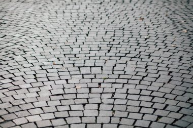 Gündüzleri şık bahçede çeşitli renklerde birbirine yakın köşeler.