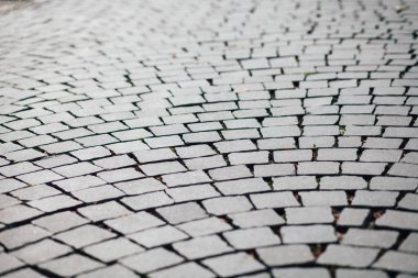 Gündüzleri şık bahçede çeşitli renklerde birbirine yakın köşeler.