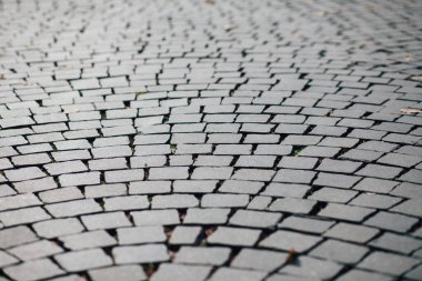 Gündüzleri şık bahçede çeşitli renklerde birbirine yakın köşeler.