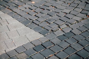 Gündüzleri şık bahçede çeşitli renklerde birbirine yakın köşeler.