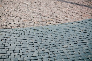 Gündüzleri şık bahçede çeşitli renklerde birbirine yakın köşeler.