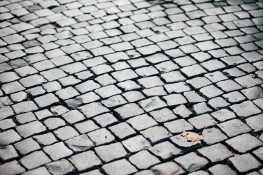 Gündüzleri şık bahçede çeşitli renklerde birbirine yakın köşeler.