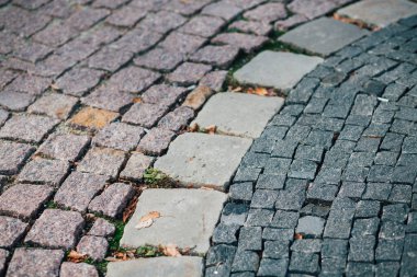 Gündüzleri şık bahçede çeşitli renklerde birbirine yakın köşeler.