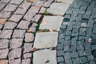 Gündüzleri şık bahçede çeşitli renklerde birbirine yakın köşeler.