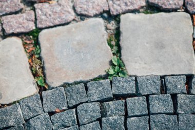 Gündüzleri şık bahçede çeşitli renklerde birbirine yakın köşeler.