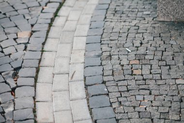 Gündüzleri şık bahçede çeşitli renklerde birbirine yakın köşeler.