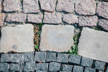 Gündüzleri şık bahçede çeşitli renklerde birbirine yakın köşeler.