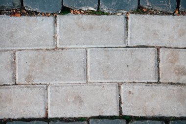 Gündüzleri şık bahçede çeşitli renklerde birbirine yakın köşeler.