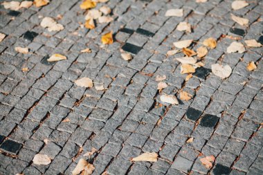 Gündüzleri şık bahçede çeşitli renklerde birbirine yakın köşeler.