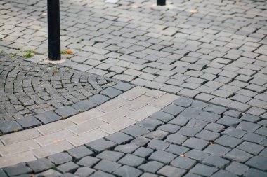 Gündüzleri şık bahçede çeşitli renklerde birbirine yakın köşeler.