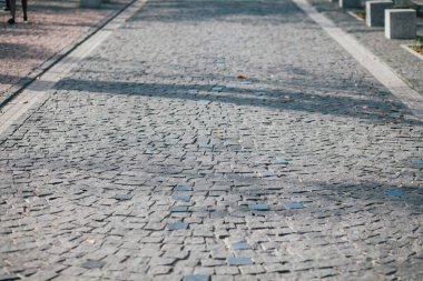 Gündüzleri şık bahçede çeşitli renklerde birbirine yakın köşeler.