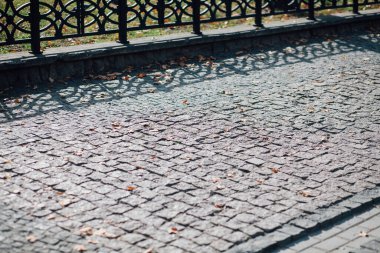 Gündüzleri şık bahçede çeşitli renklerde birbirine yakın köşeler.