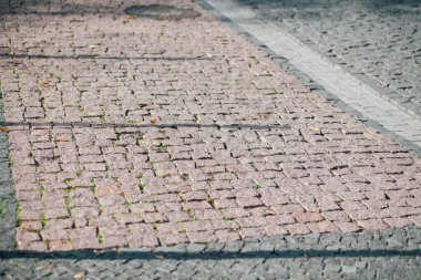 Gündüzleri şık bahçede çeşitli renklerde birbirine yakın köşeler.
