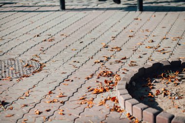 Gündüzleri şık bahçede çeşitli renklerde birbirine yakın köşeler.