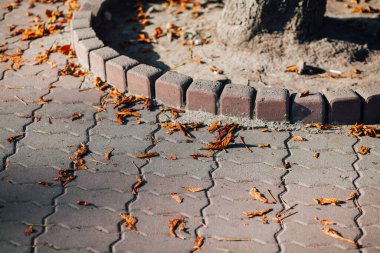 Gündüzleri şık bahçede çeşitli renklerde birbirine yakın köşeler.