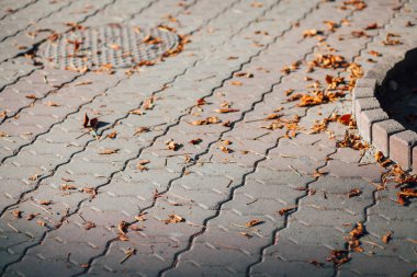 Gündüzleri şık bahçede çeşitli renklerde birbirine yakın köşeler.