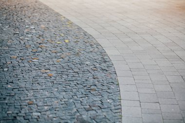 Gündüzleri şık bahçede çeşitli renklerde birbirine yakın köşeler.