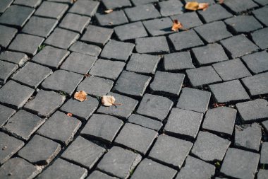 Gündüzleri şık bahçede çeşitli renklerde birbirine yakın köşeler.