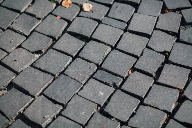 Gündüzleri şık bahçede çeşitli renklerde birbirine yakın köşeler.