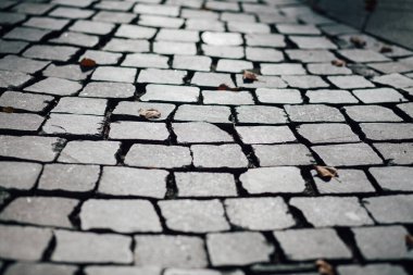 Gündüzleri şık bahçede çeşitli renklerde birbirine yakın köşeler.