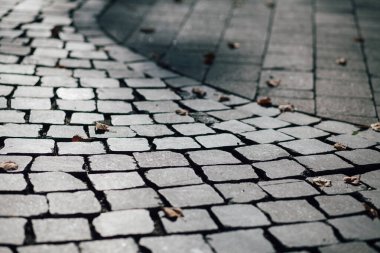 Gündüzleri şık bahçede çeşitli renklerde birbirine yakın köşeler.