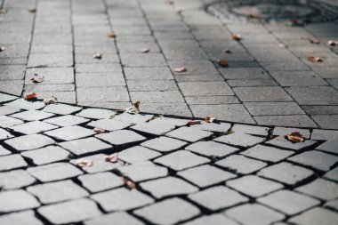 Gündüzleri şık bahçede çeşitli renklerde birbirine yakın köşeler.