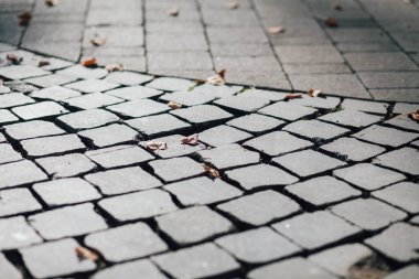 Gündüzleri şık bahçede çeşitli renklerde birbirine yakın köşeler.