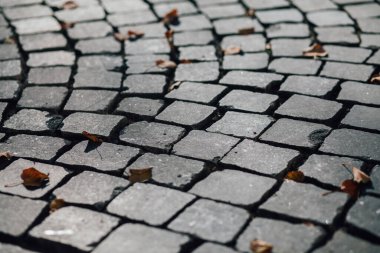 Gündüzleri şık bahçede çeşitli renklerde birbirine yakın köşeler.