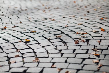 Gündüzleri şık bahçede çeşitli renklerde birbirine yakın köşeler.