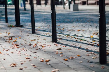 Parktaki yürüyüş yolunda demir kazıklı taşlar. 
