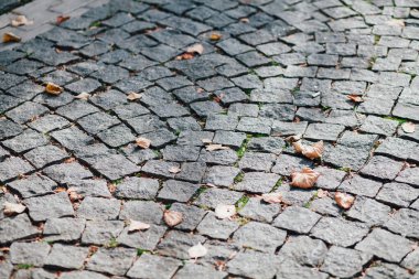 Gündüzleri şık bahçede çeşitli renklerde birbirine yakın köşeler.