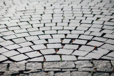 Gündüzleri şık bahçede çeşitli renklerde birbirine yakın köşeler.