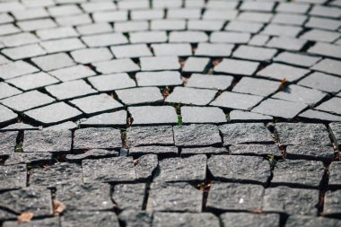 Gündüzleri şık bahçede çeşitli renklerde birbirine yakın köşeler.