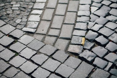 Gündüzleri şık bahçede çeşitli renklerde birbirine yakın köşeler.