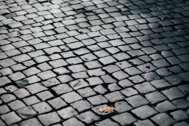 Gündüzleri şık bahçede çeşitli renklerde birbirine yakın köşeler.