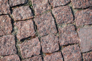 Gündüzleri şık bahçede çeşitli renklerde birbirine yakın köşeler.